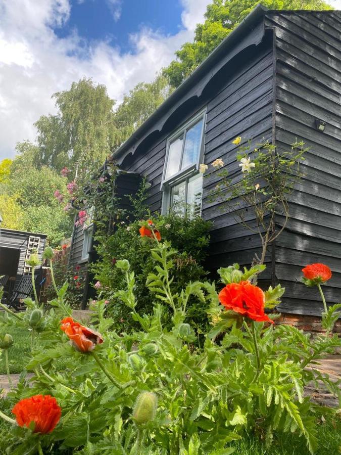 Thompsons Cottage Beverley Ngoại thất bức ảnh