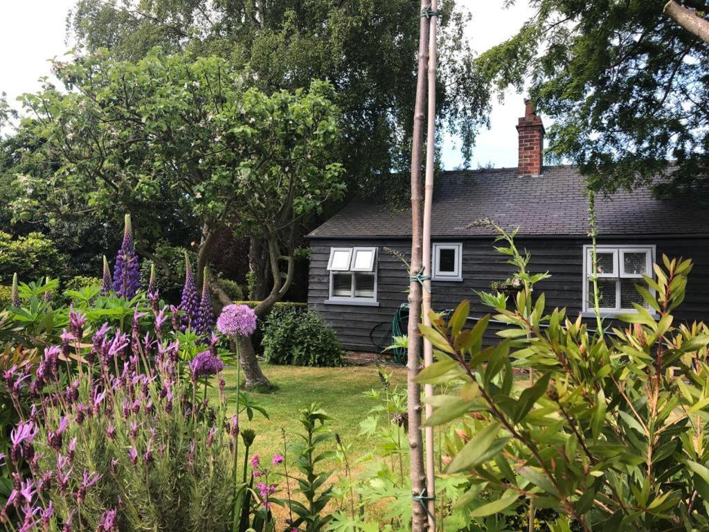 Thompsons Cottage Beverley Ngoại thất bức ảnh