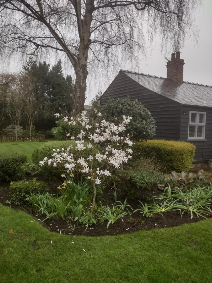 Thompsons Cottage Beverley Ngoại thất bức ảnh
