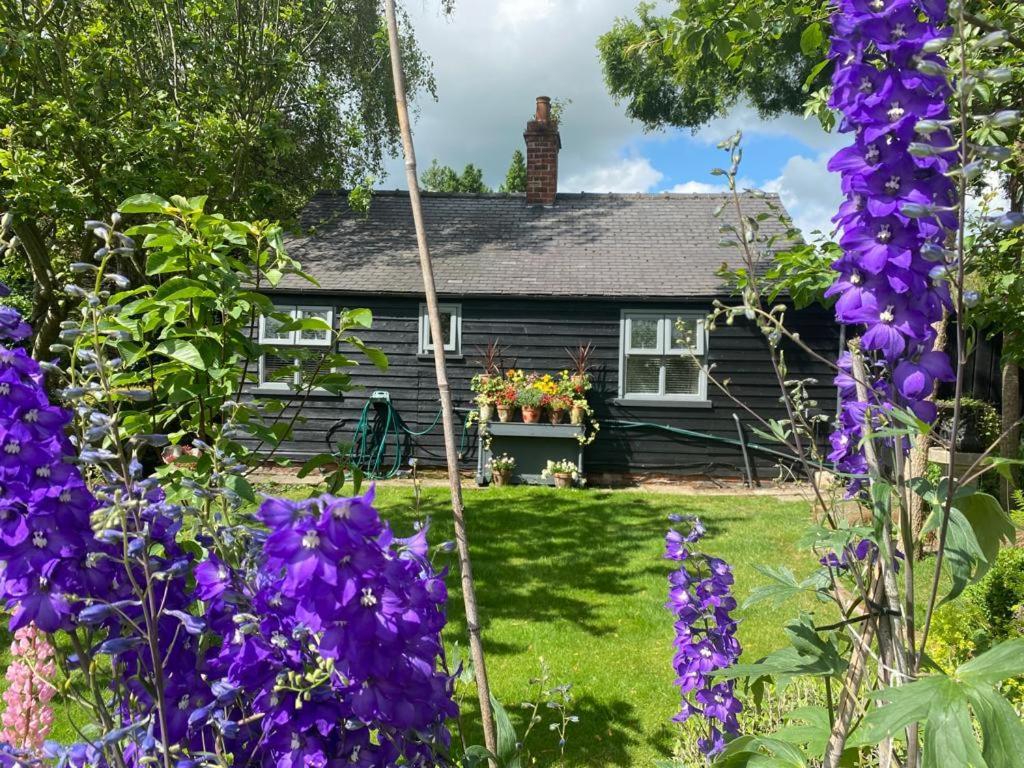 Thompsons Cottage Beverley Ngoại thất bức ảnh