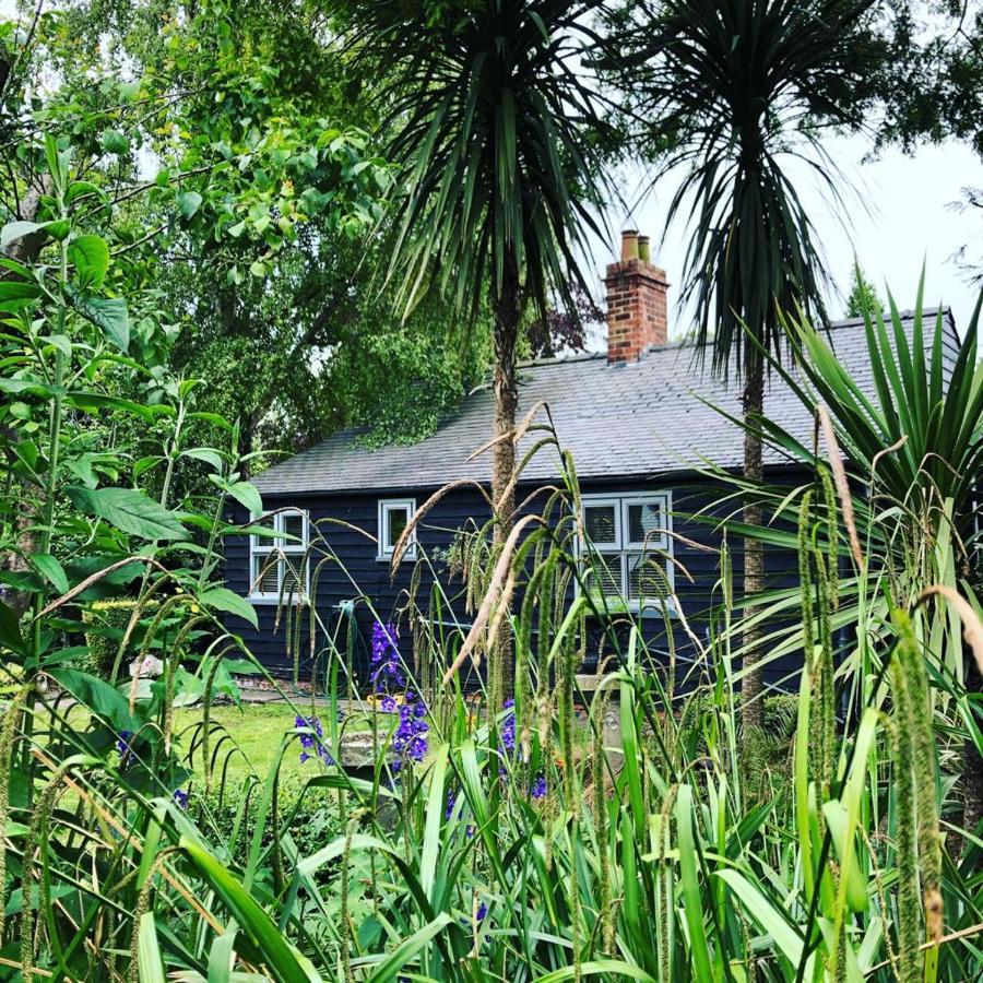 Thompsons Cottage Beverley Ngoại thất bức ảnh